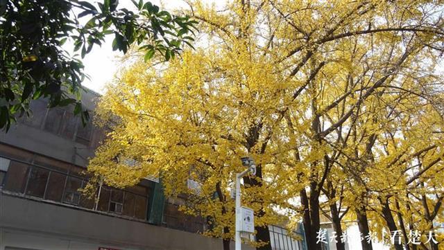 第2235页
