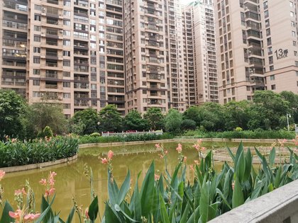 银丰香槟郡最新动态，科技引领生活革新