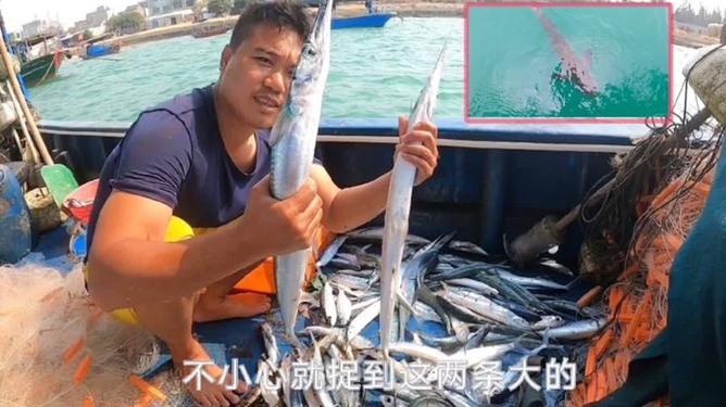 最新西钓网放鱼信息，鱼跃龙门，共鉴人生新篇章