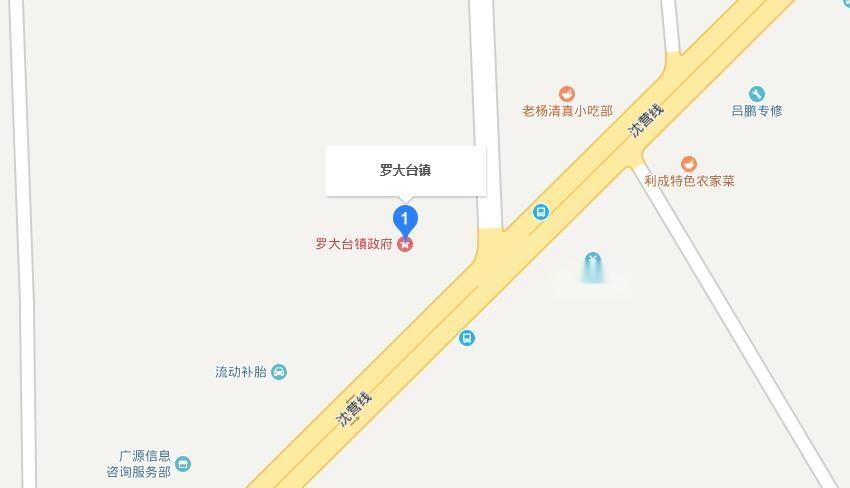 辽阳罗大台镇全新篇章，友情、家庭与未来的温馨交响，最新发展计划揭晓