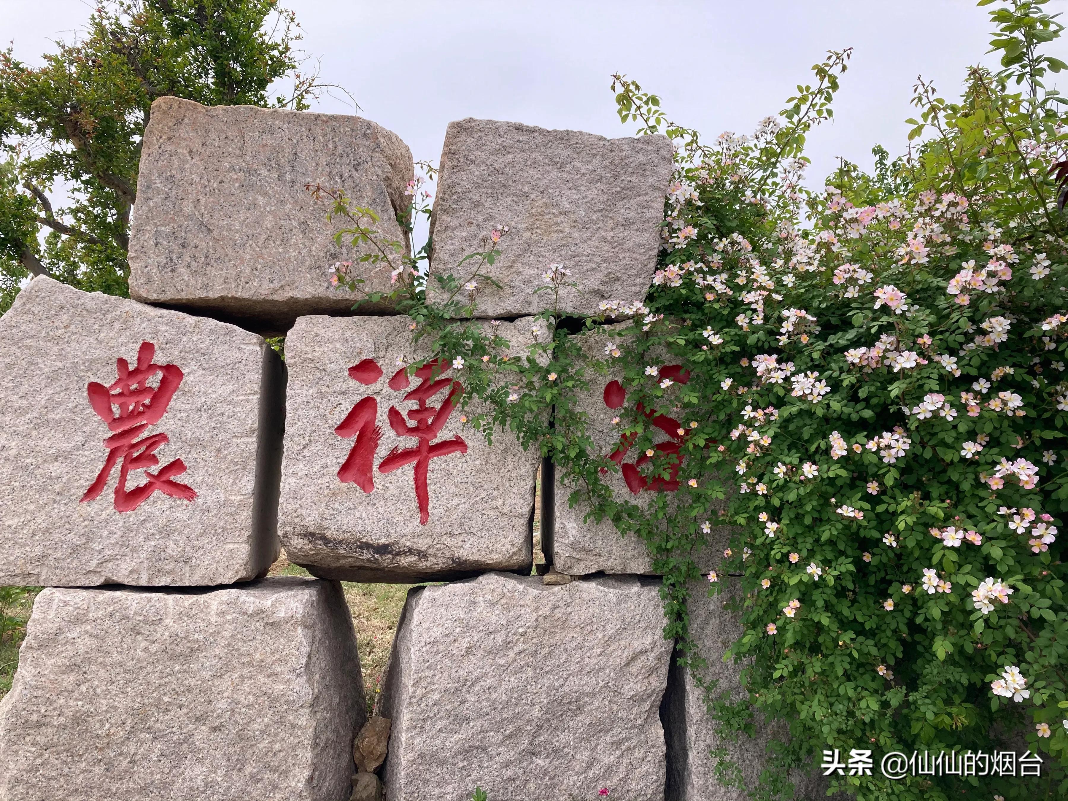 烟台南部最新规划揭秘，日常故事背后的蓝图发展之路