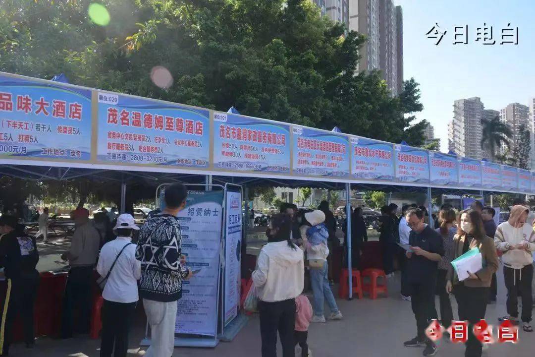 电白区水东最新招聘启航，启程探索自然美景之旅之旅