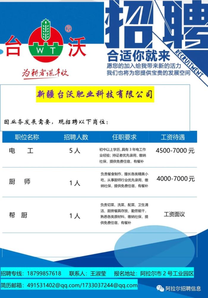 孟津招聘网最新招聘信息及动态速递
