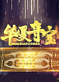 华夏夺宝最新一期，科技璀璨，生活焕新篇章