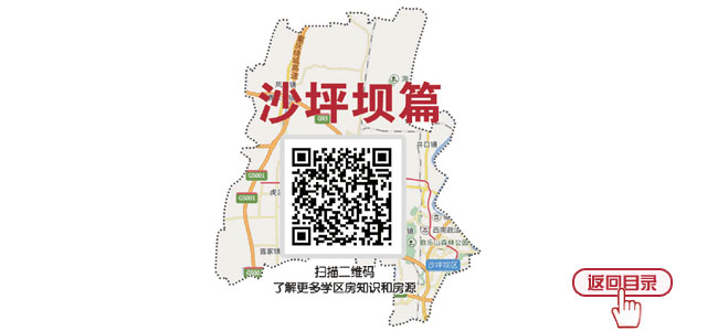 沙坪坝井口镇最新规划揭秘，小巷深处的惊喜