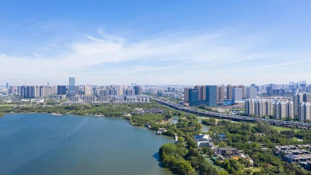 南京连锁经营新动态，城市商业新势力崛起