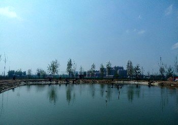 石家庄钓鱼场最新鱼讯，科技垂钓，开启未来垂钓生活新篇章