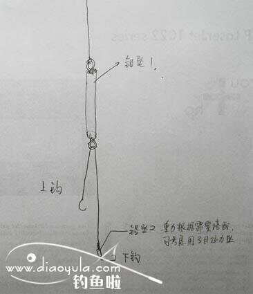 探索与实践，最新双坠钓法，揭秘钓鱼技巧与策略（2015年）