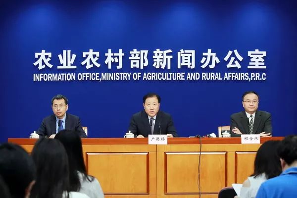 峨眉今日新闻快报，最新消息汇总
