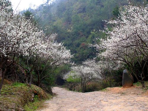 松重线最新时间表，爱的旅程与友情的纽带之旅