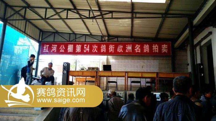云南红河公棚引领科技潮流，重塑未来体验新篇章公告