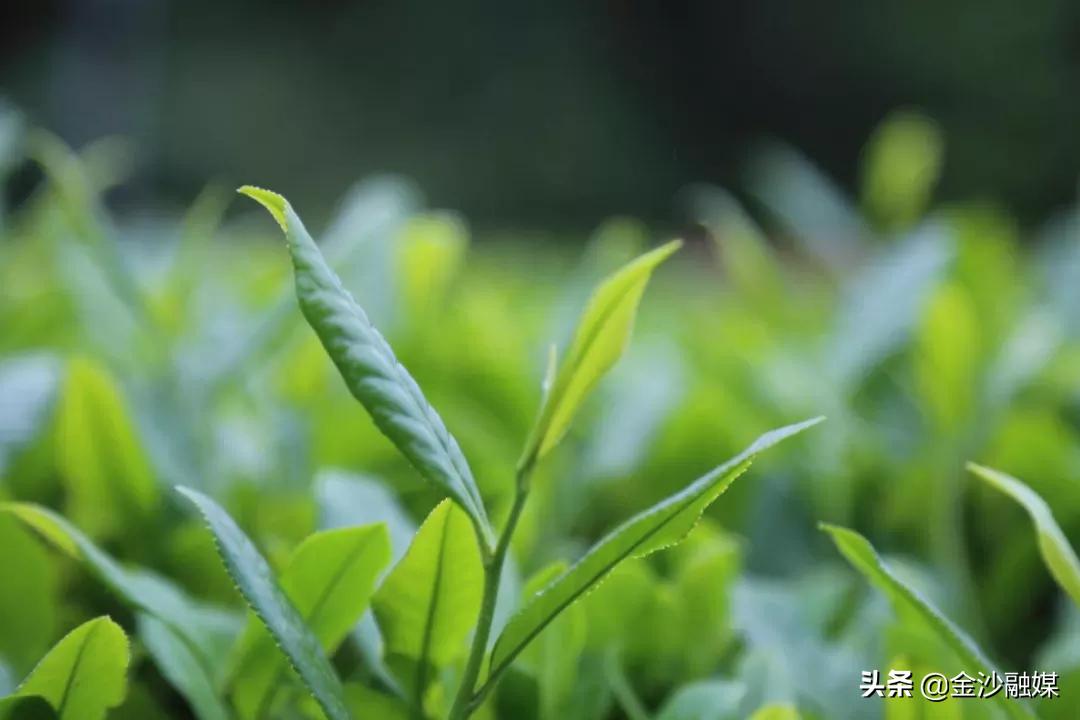 第1679页