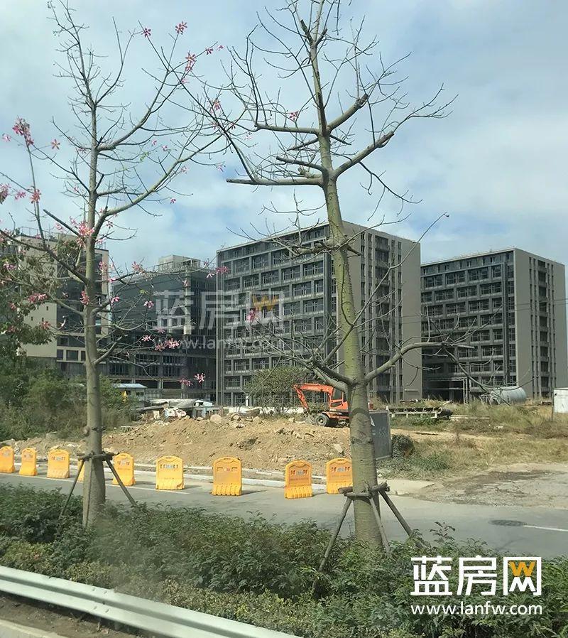 天泽奥莱时代最新动态，时代印记与未来展望