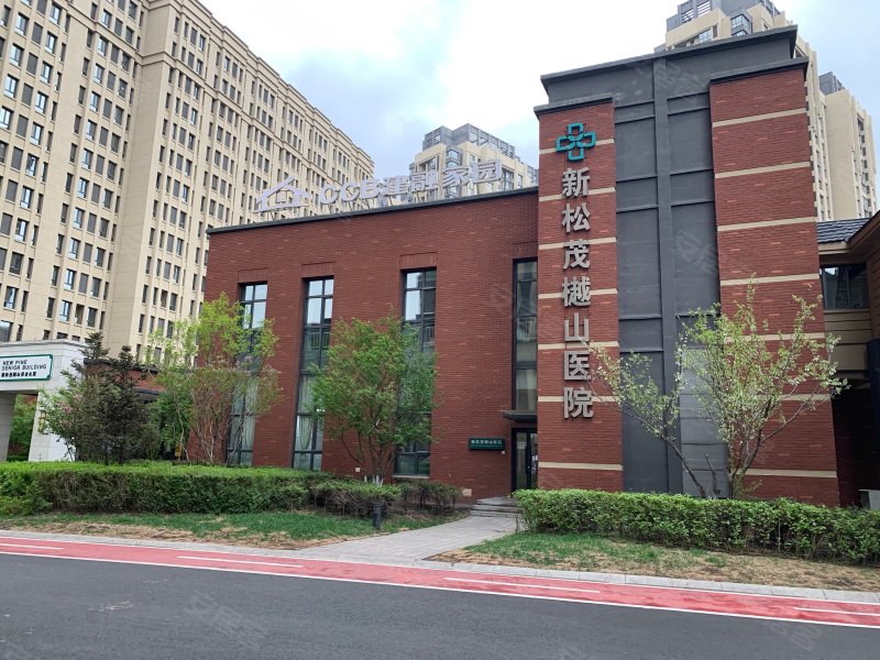 新松茂樾山最新动态，城市崛起与未来展望