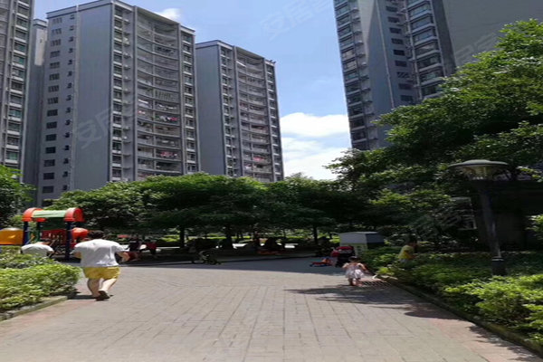 第2335页