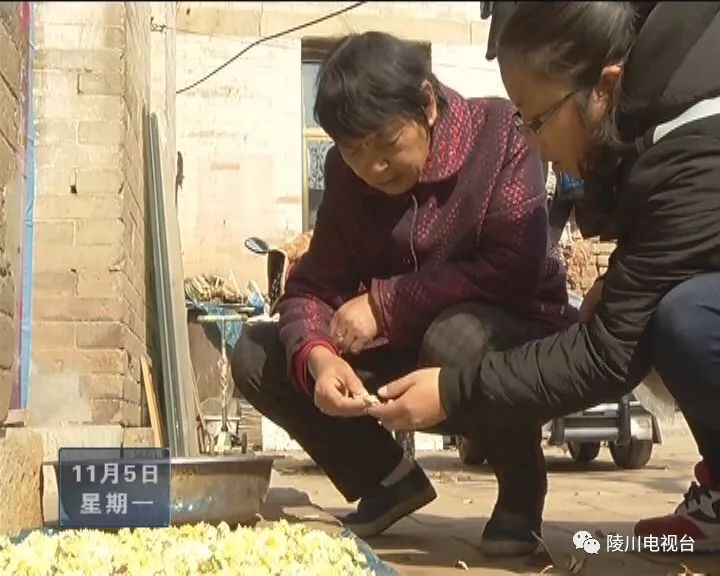 陵川县杨村贴吧，最新资讯与生活动态汇总