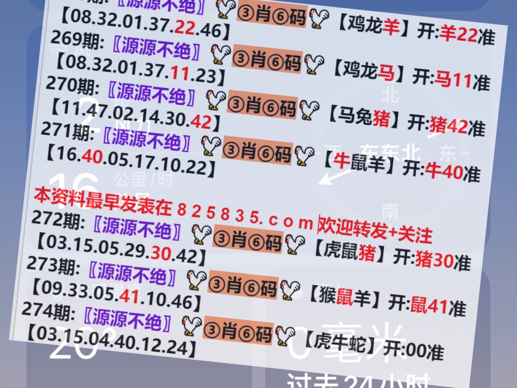 保健品 第402页