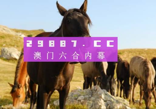 澳门管家婆一肖一码一中一100,目前现象解析描述_PDE83.569拍照版