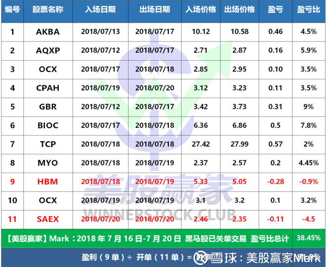 新澳门鞋一肖一码9995,数据引导执行策略_CKH83.906闪电版