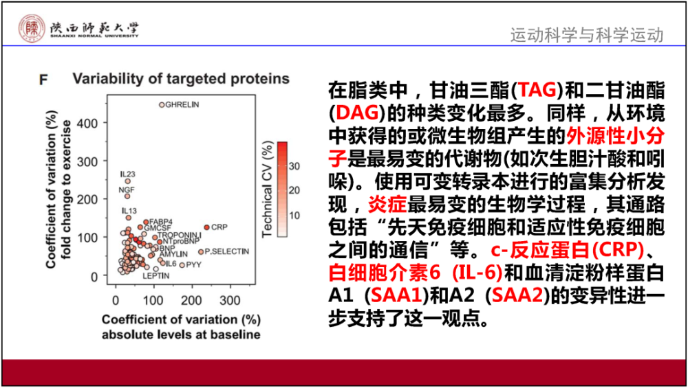 新澳门精准三肖三码资料,专业解读操行解决_随身版19.868
