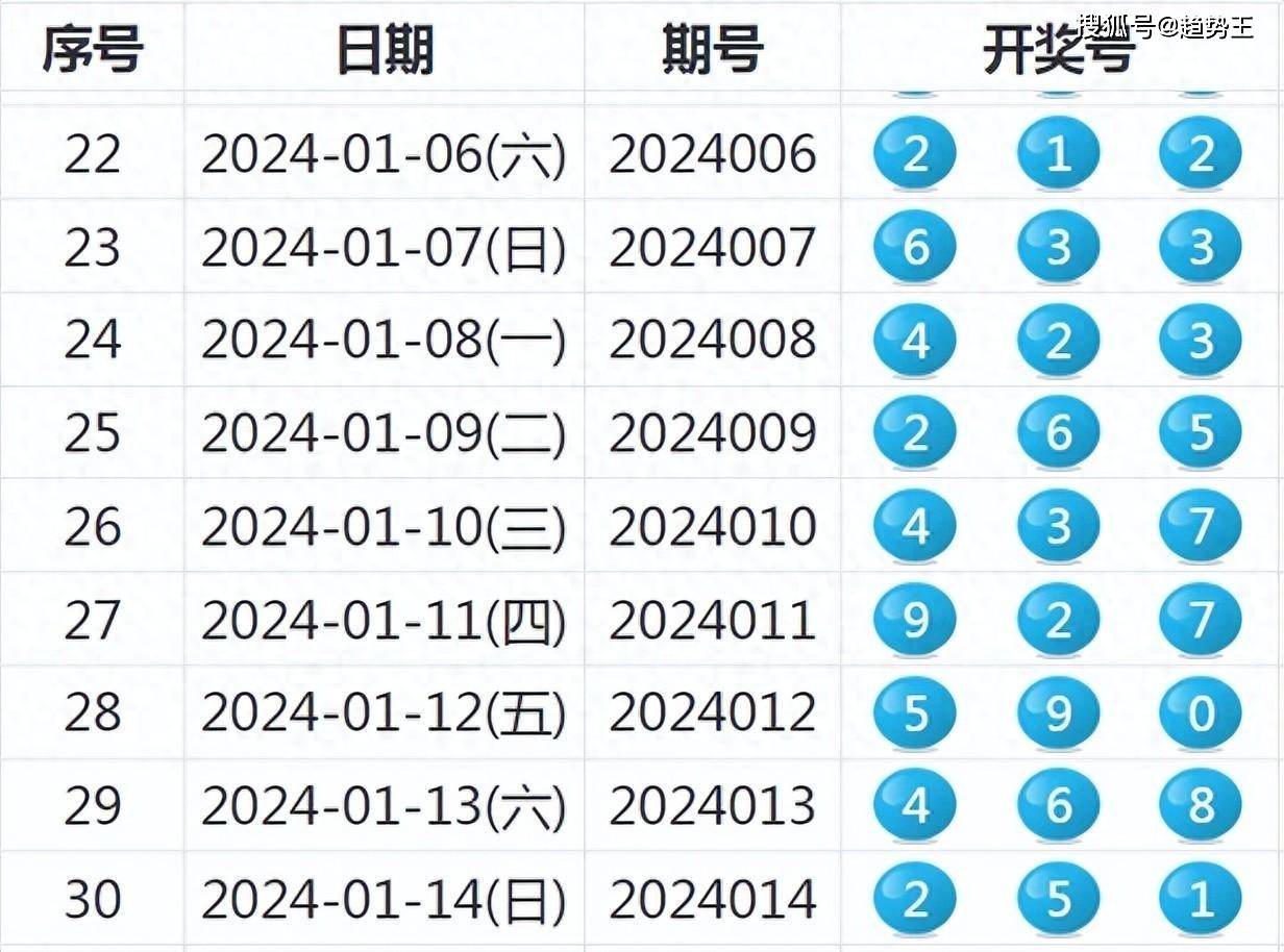 2024年新奥特开奖记录查询表,灵活性执行方案_外观版24.233