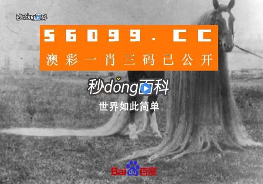 澳门一肖一码一必中一肖同舟前进,推动策略优化_知识版79.214