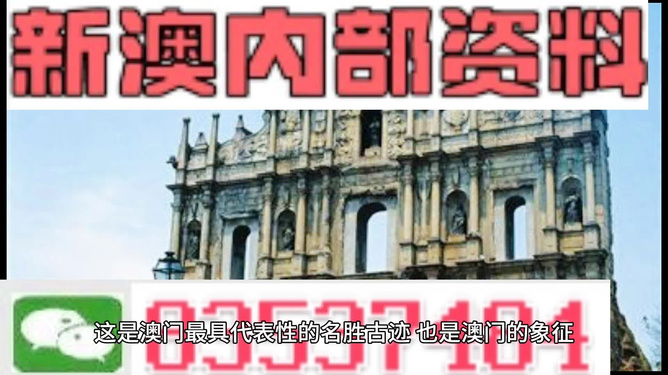 2024澳门精准正版资料大全,实地数据评估分析_养生版65.802