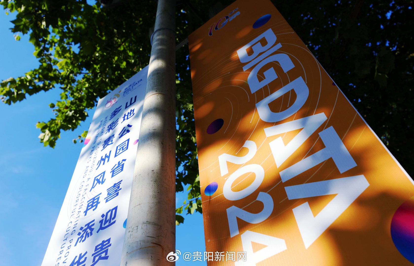 2024新奥门正版免费挂牌灯牌,高度协调实施_数字版85.892