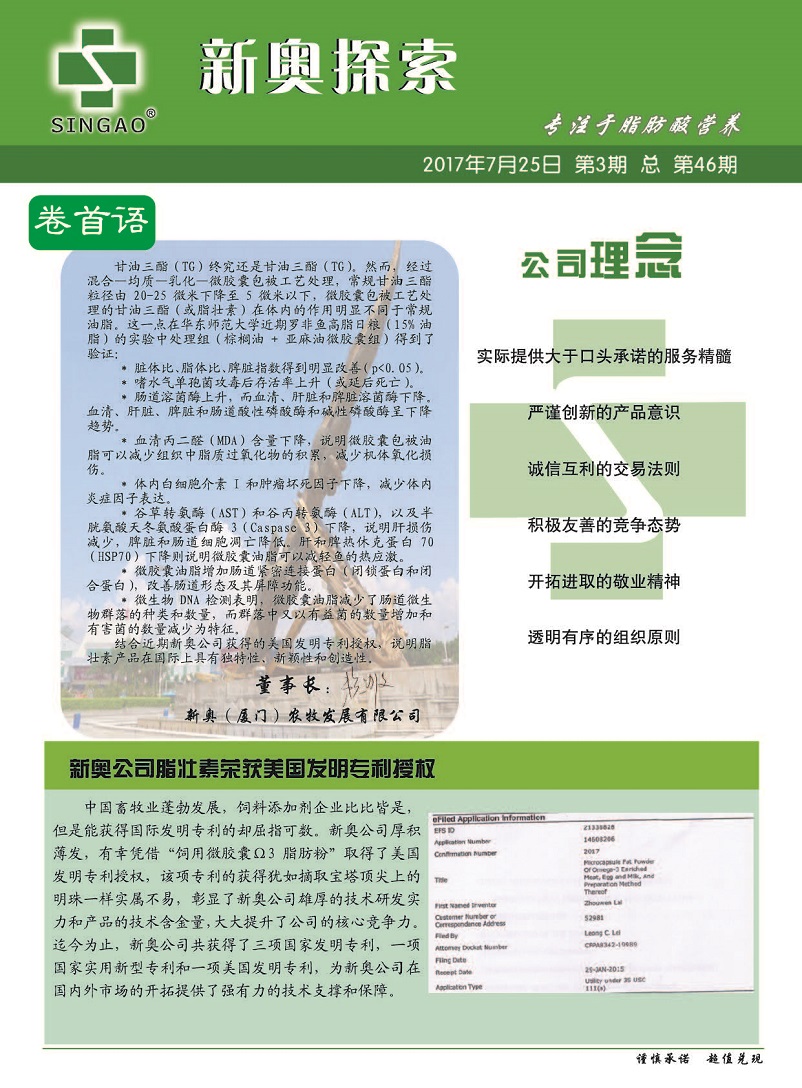 2024新奥精准正版资料,访问安全方案解析_定向版2.780