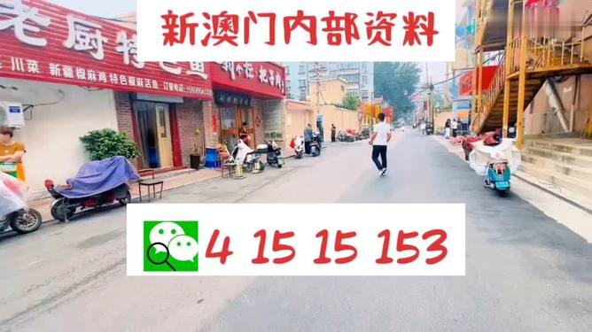 2024澳门天天开好彩大全46期,实践调查说明_稀有版66.895