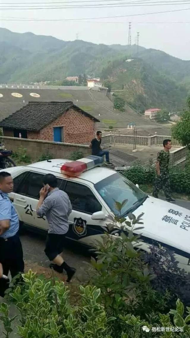 白酒 第333页