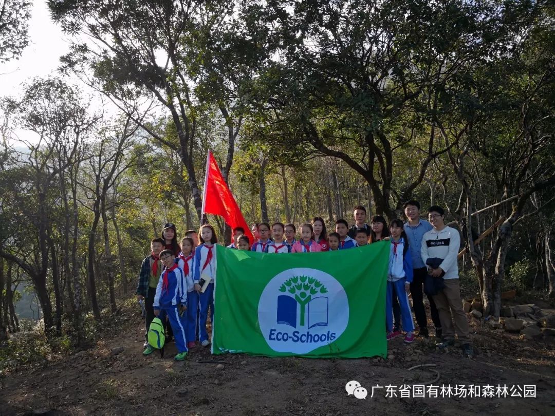 阜新林场改革最新进展，小巷深处的绿色变革与隐藏瑰宝
