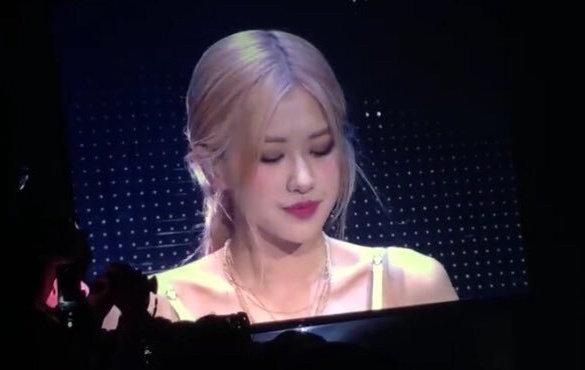 Blackpink新成员揭秘，独特魅力与音乐之旅的探寻