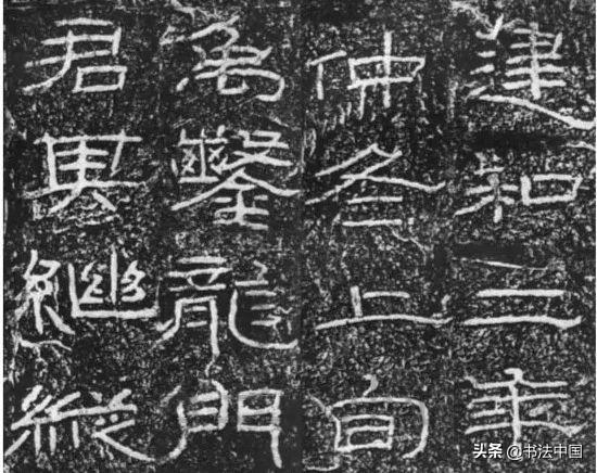 保健品 第320页