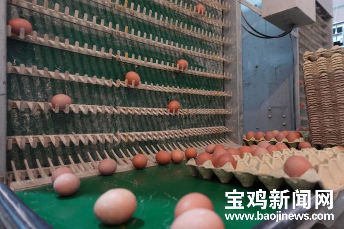 保健品 第310页
