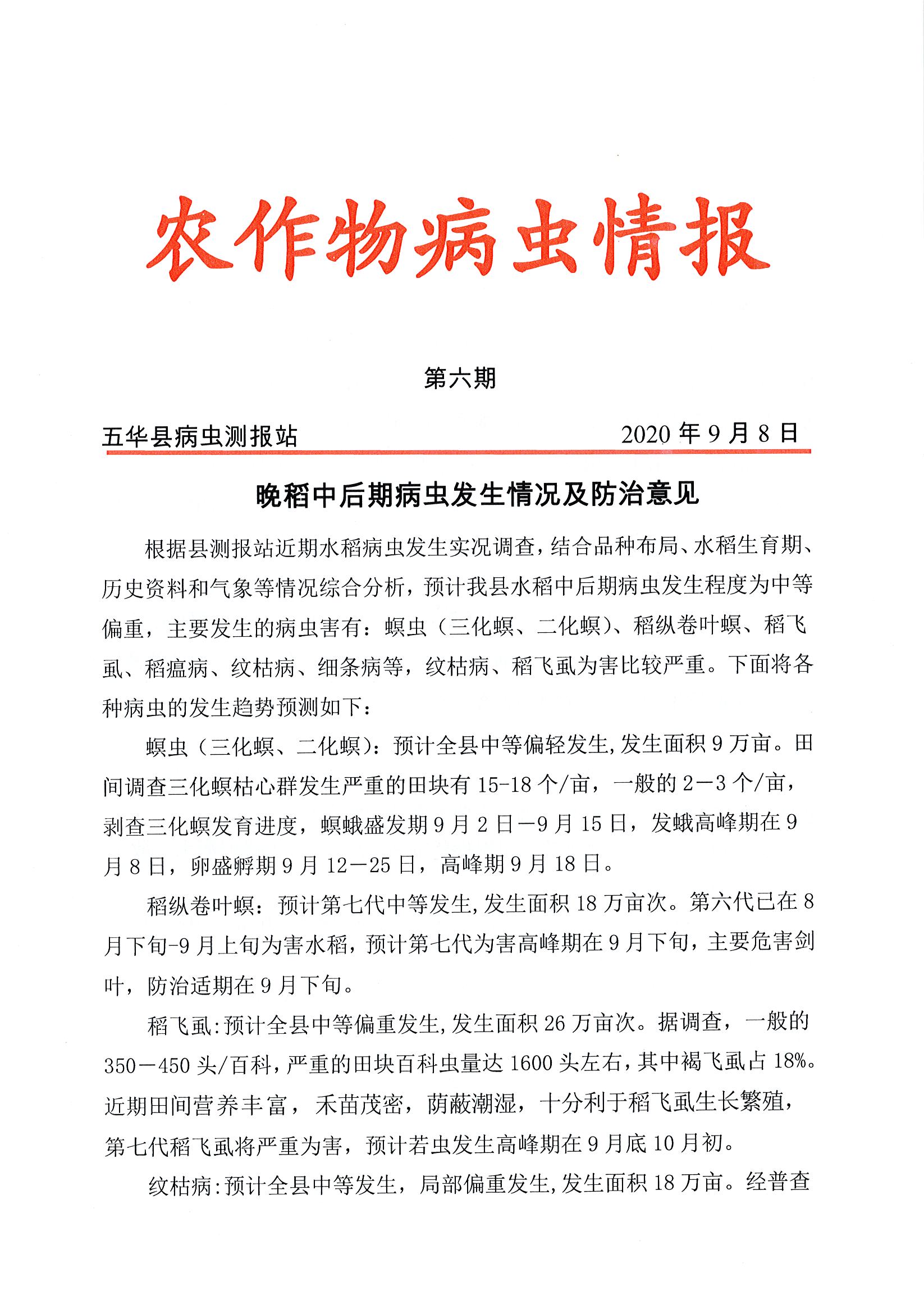 最新疫病信息深度解析与报告