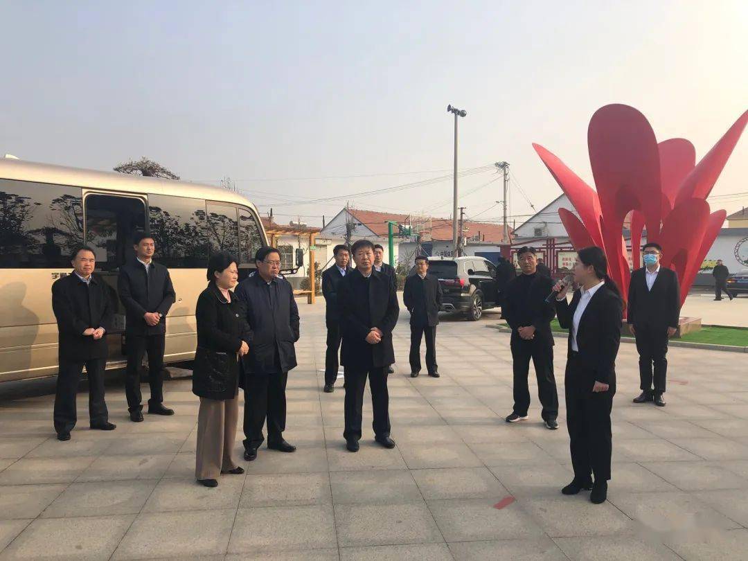 高密最新报道，自然美景之旅，探寻内心平和宁静之道