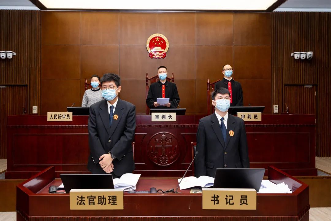杜礼宾的最新动态，力量之变与自信成就的学习之路
