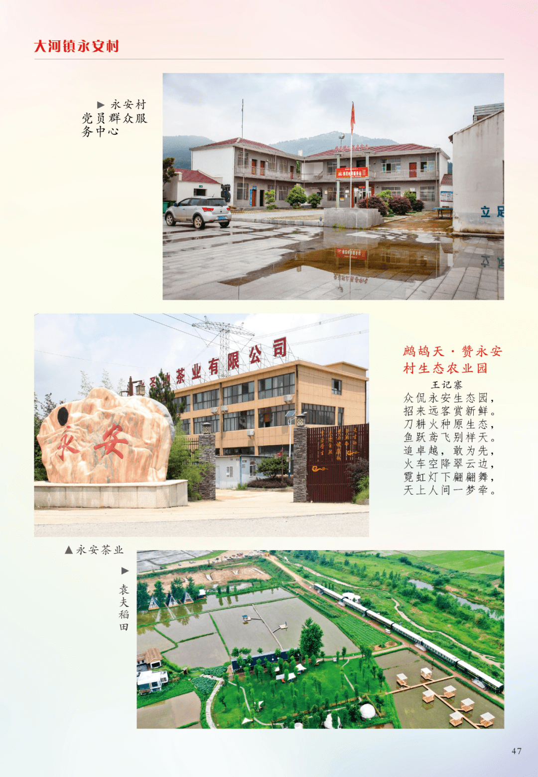 黄梅最新一期，领略传统艺术的独特魅力