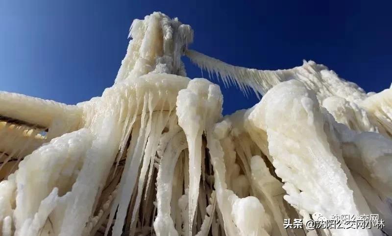 沈阳最新网红打卡地，城市魅力新坐标揭秘！