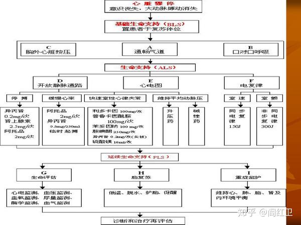 成人心肺复苏最新指南，掌握生命救援技能，自信闪耀救援之路
