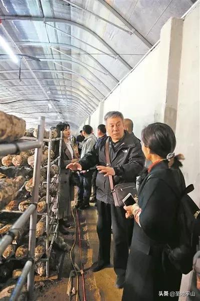 平山交通动态，双刃剑效应的发展与挑战