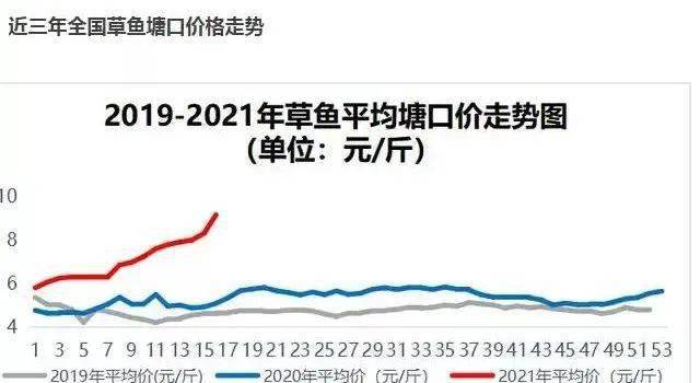 科技赋能草鱼交易，今年草鱼价格行情及交易体验革新