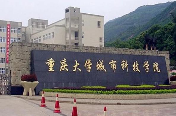 浙江废纸行情揭秘，探寻内心平静的旅程