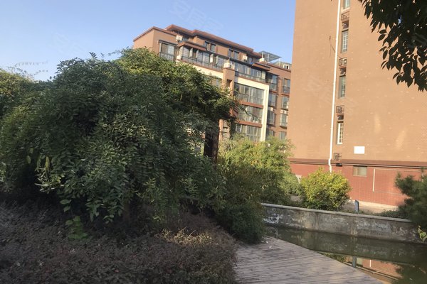 驻马店莱茵湖最新动态，成长中的湖泊与我们的共同轨迹