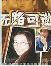 无路可逃电视剧，深度解析与探讨
