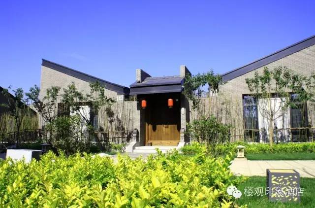 绿色经典精盛青稞酒 第295页