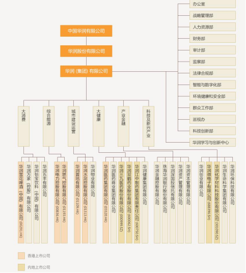 金钟子酒股票今日行情，股市中的独特魅力与温情故事