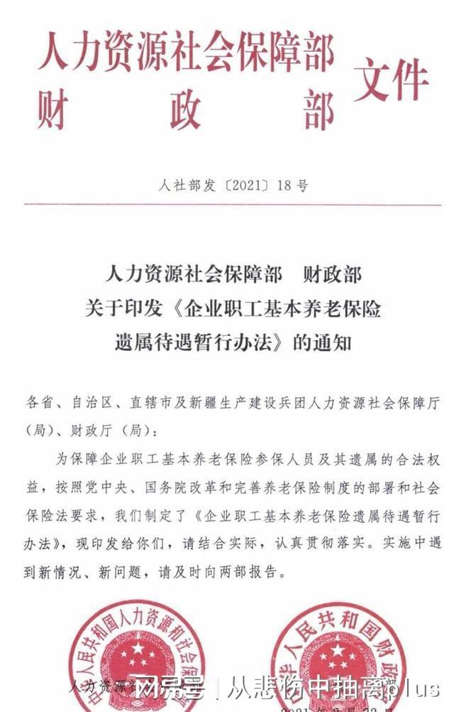 最新遗属抚恤政策与小巷独特风味共融的温情关怀
