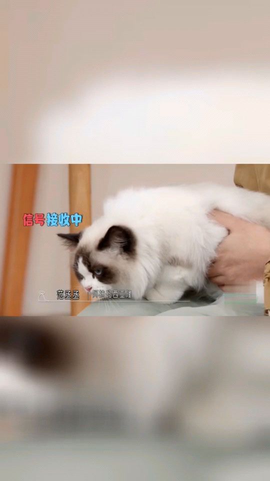 白酒 第283页